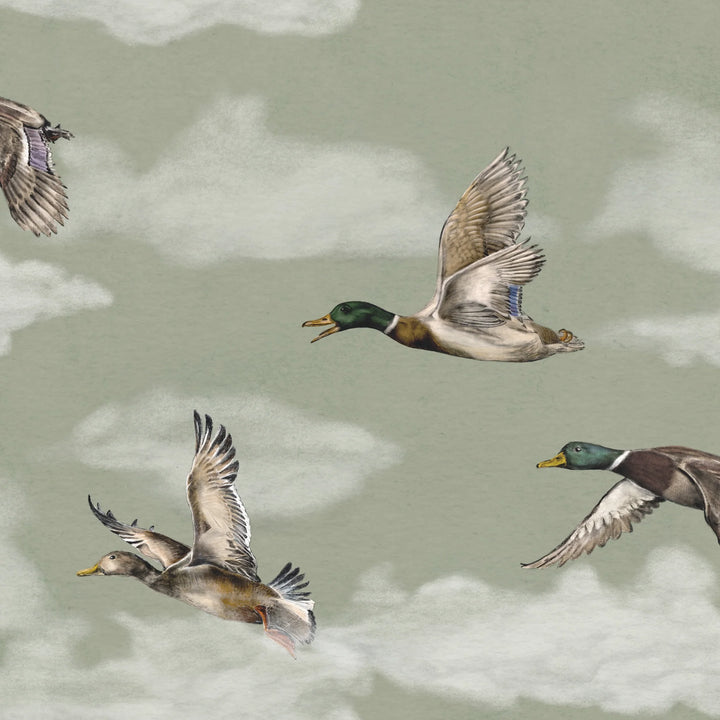 ورق الجدران Voyage