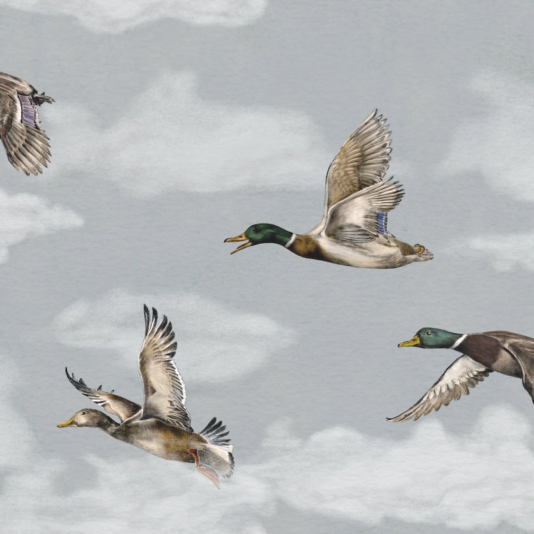 ورق الجدران Voyage