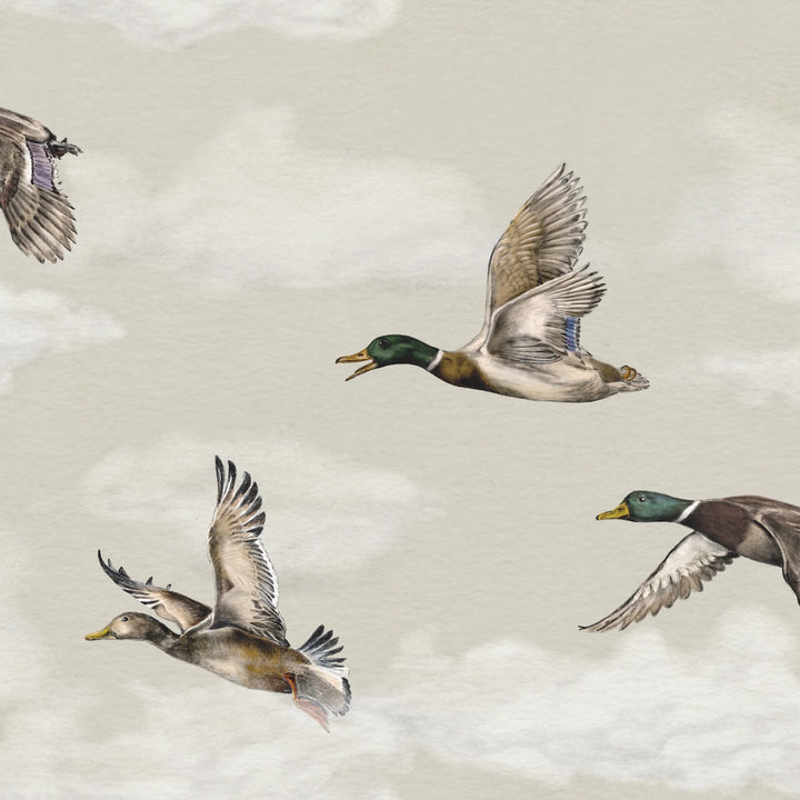 ورق الجدران Voyage