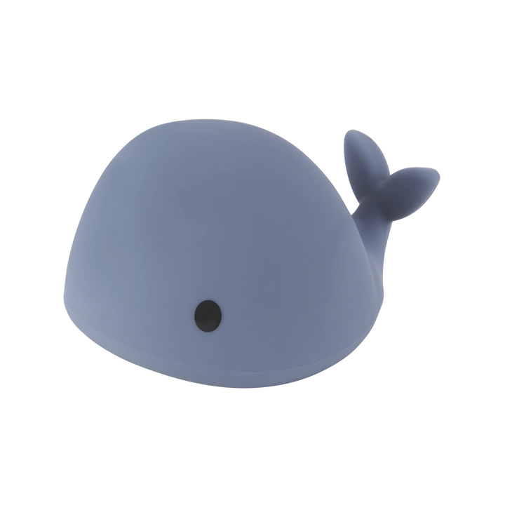 Flow Amsterdam Moby - Night Light  - Hola BB