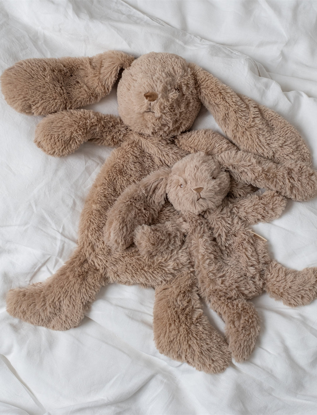 That’s Mine Houston Heavy Teddy Small