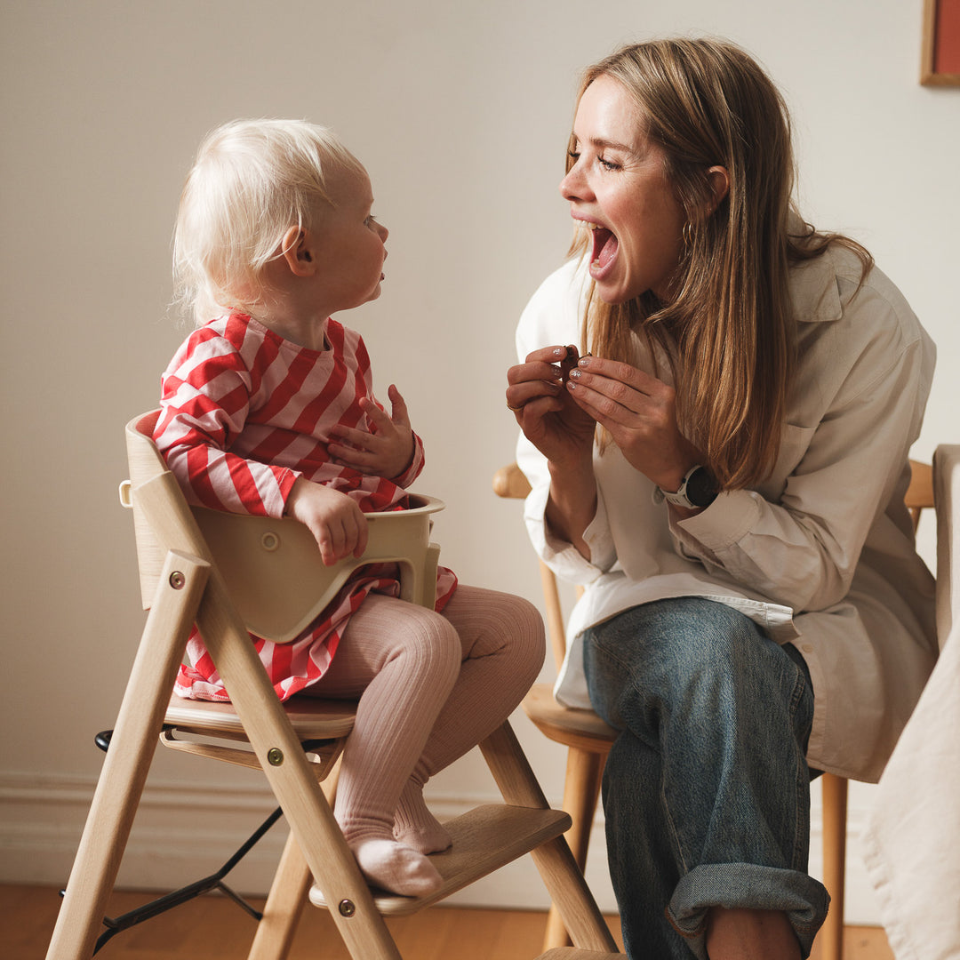 كلاب – حاجز أمان