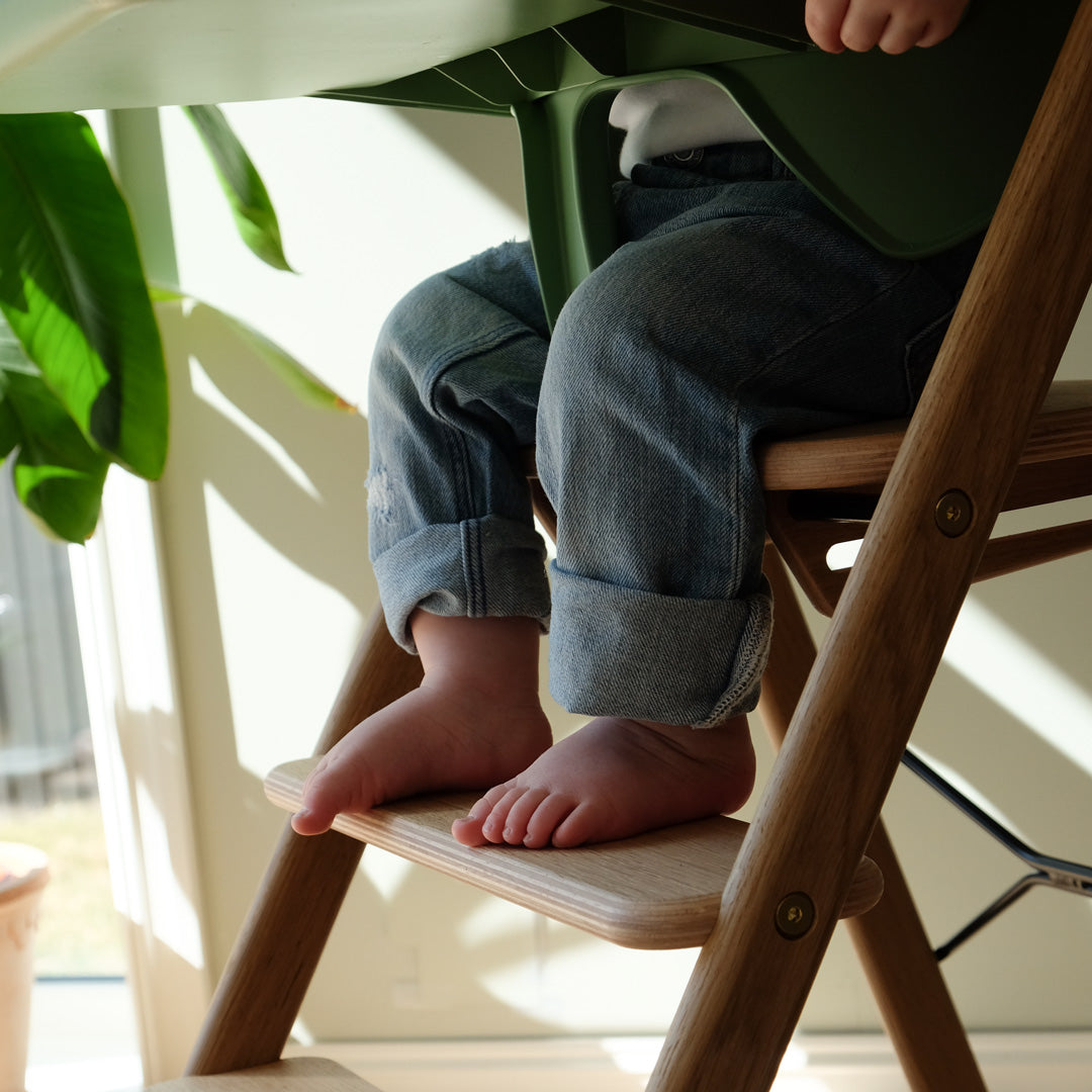 كلاب – حاجز أمان