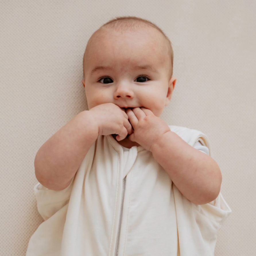 The Bag - dla niemowląt 0-6 miesięcy