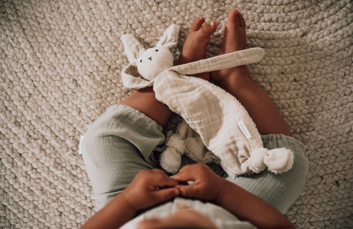 Sleep Tuttle (Tkanina do Przytulania)